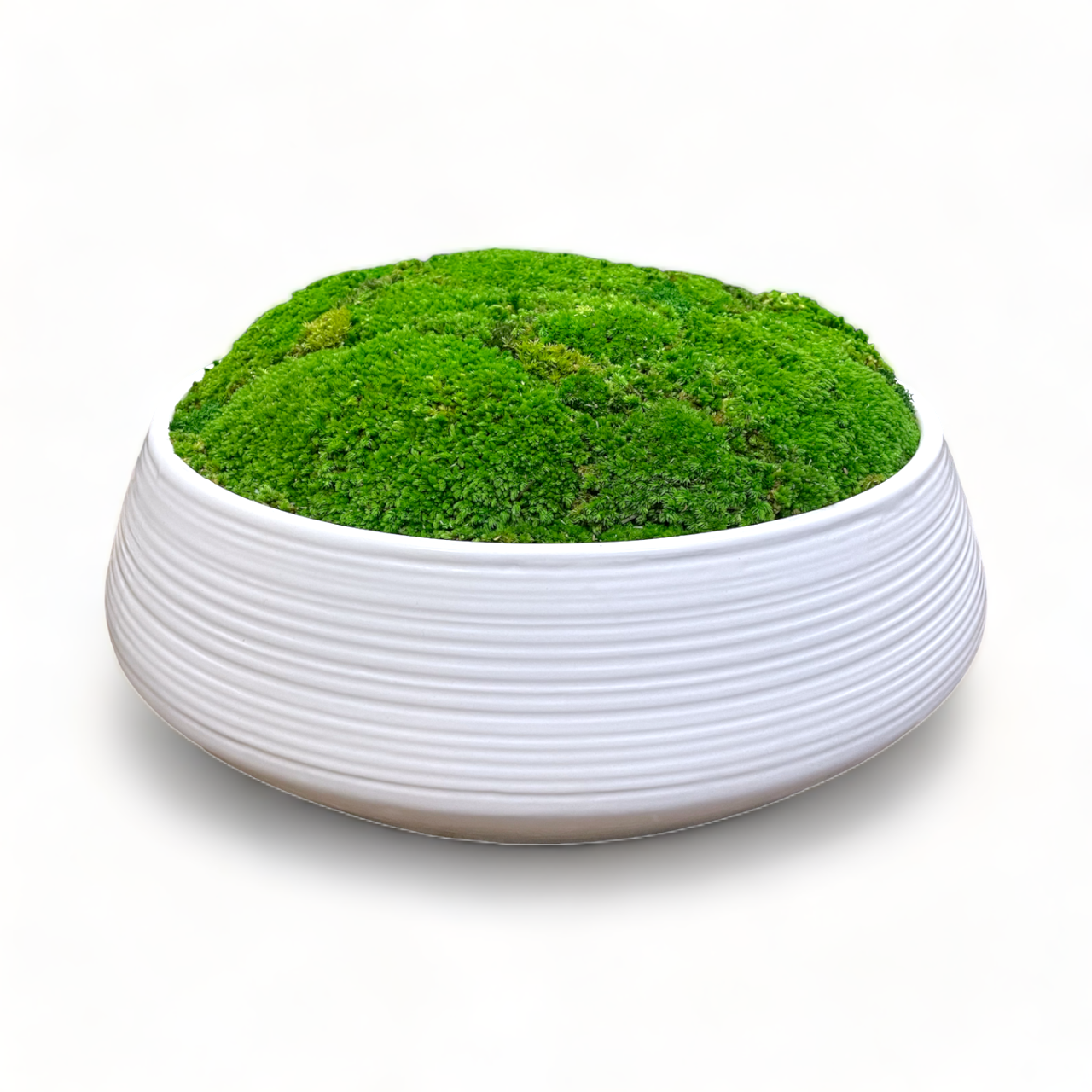 Oversized White Moss Bowl