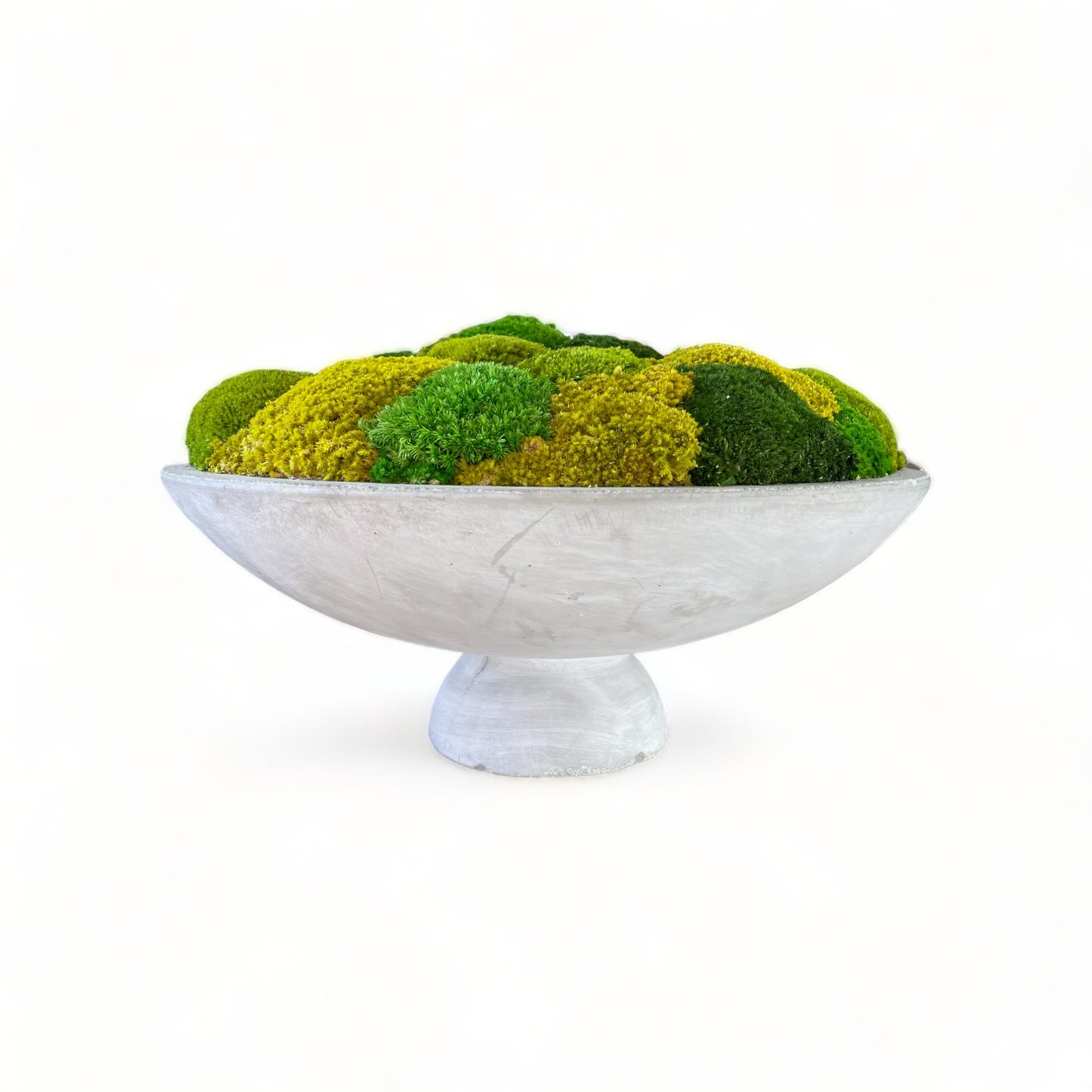 Opulent Concrete Moss Bowl