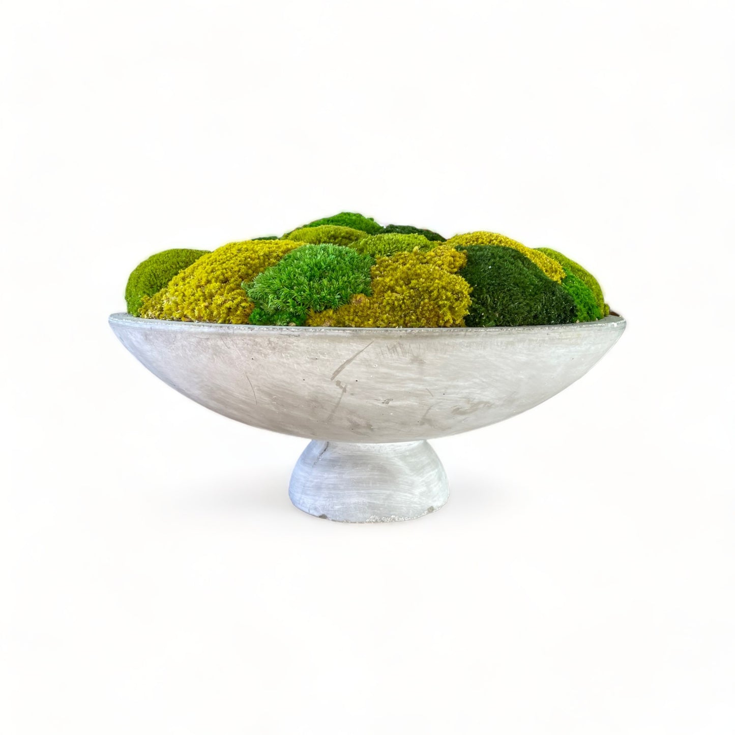 Opulent Concrete Moss Bowl