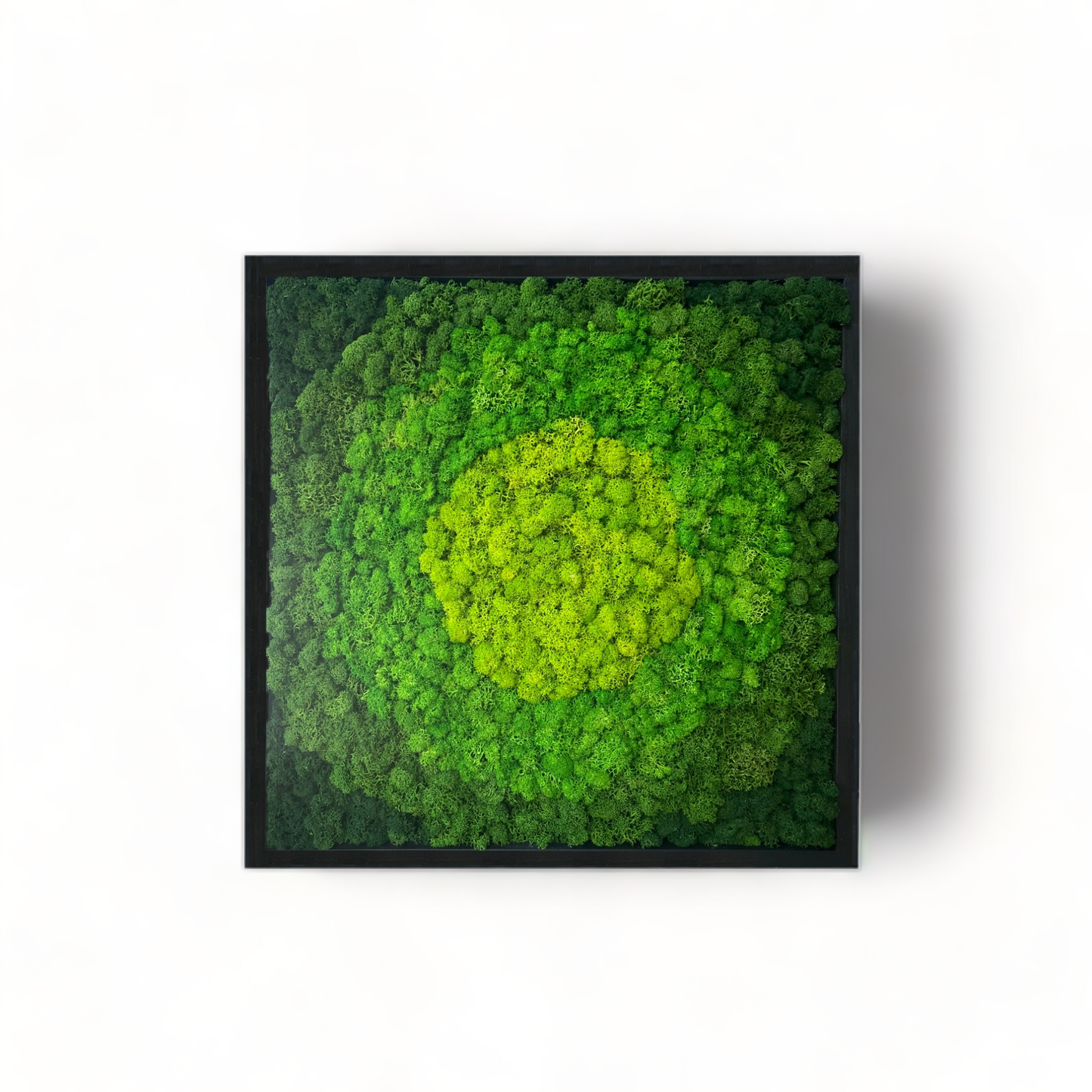 The Vibrant Bohemian - Moss Wall Art Frame