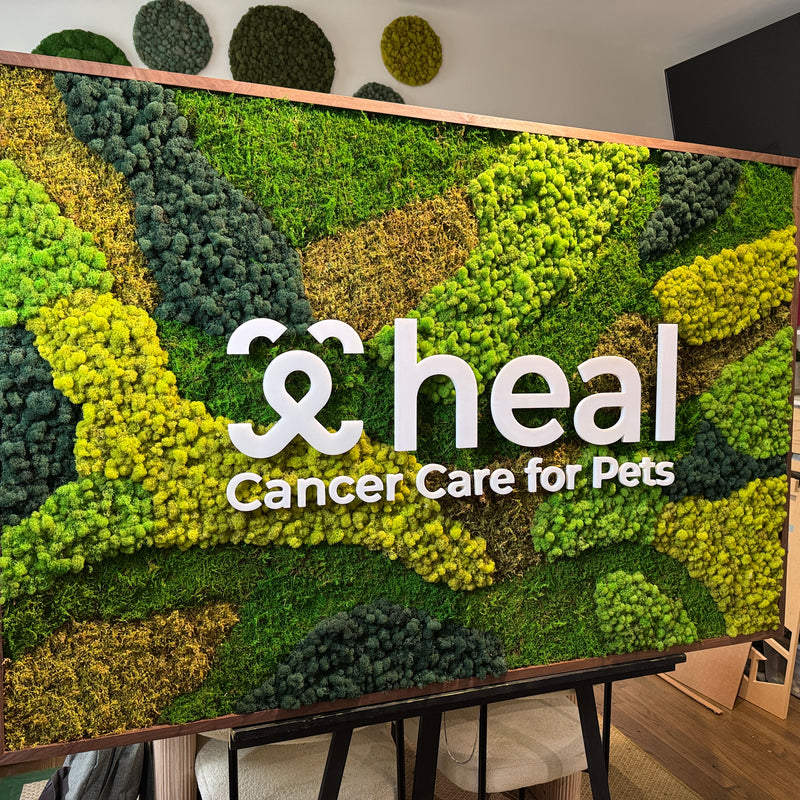 Heal Pet Cancer Care - Reception