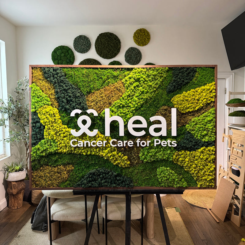 Heal Pet Cancer Care - Reception
