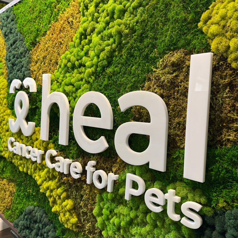 Heal Pet Cancer Care - Reception