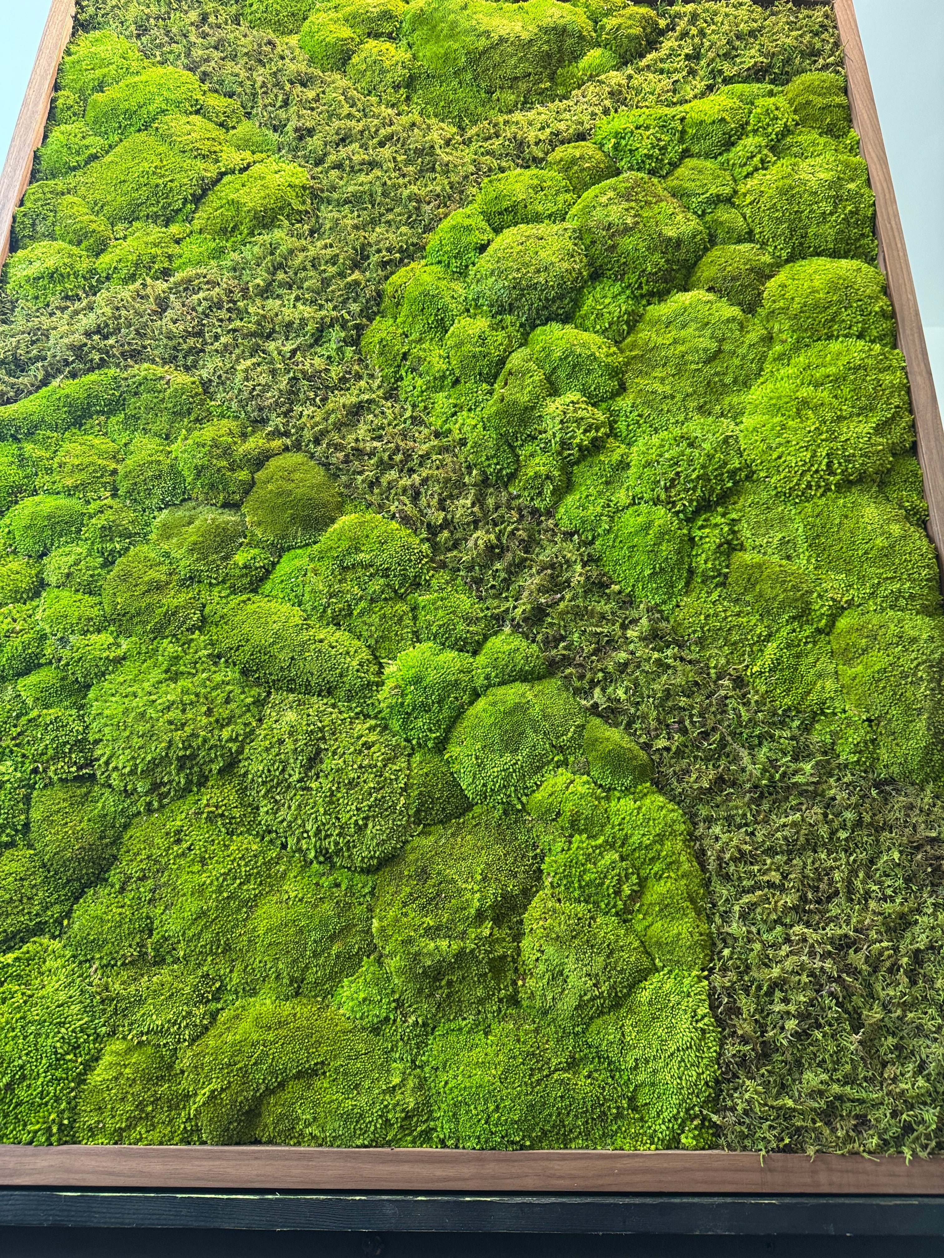 Ready to Ship: 48x36