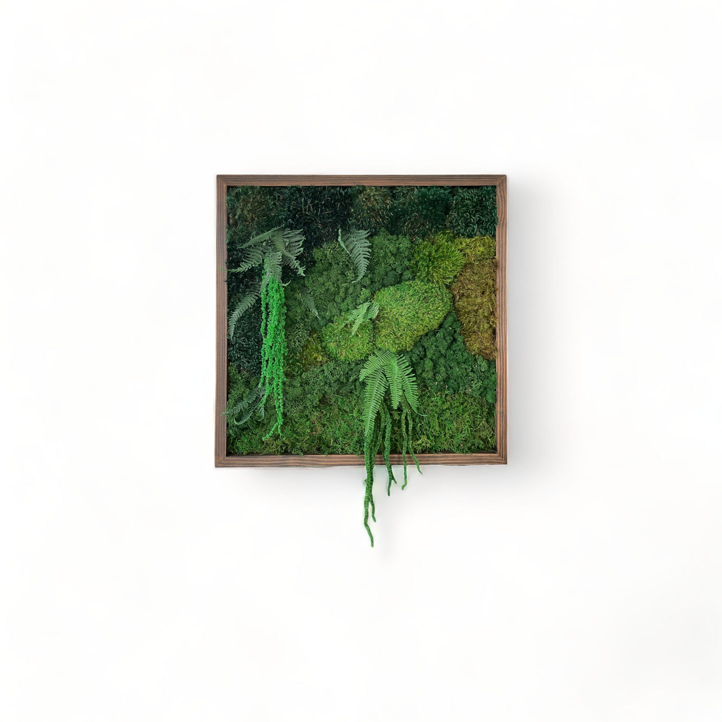 The Deep Jungle Moss Wall Art Frame