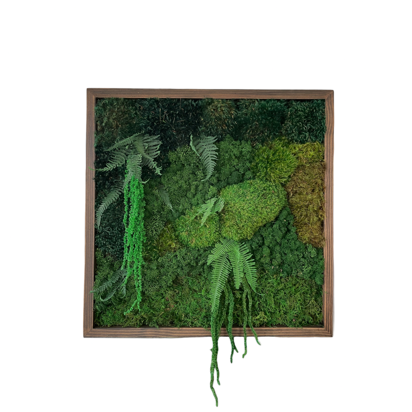 The Deep Jungle Moss Wall Art Frame