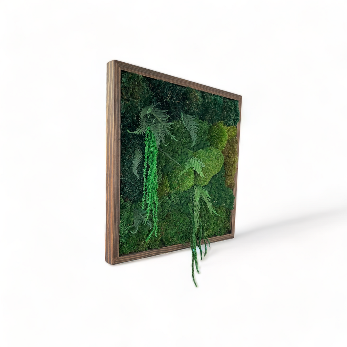 The Deep Jungle Moss Wall Art Frame