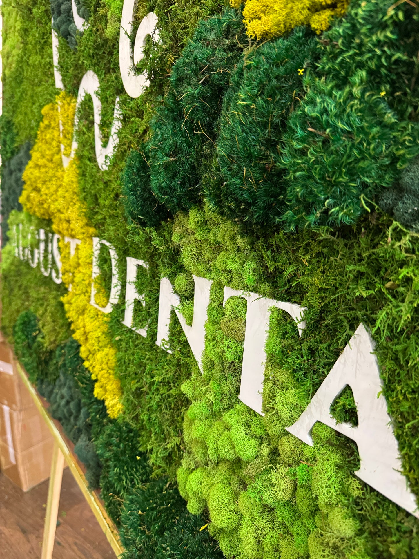 Custom Logo (Mixed Mosses) with CNC Lettering, Moss Art Frame
