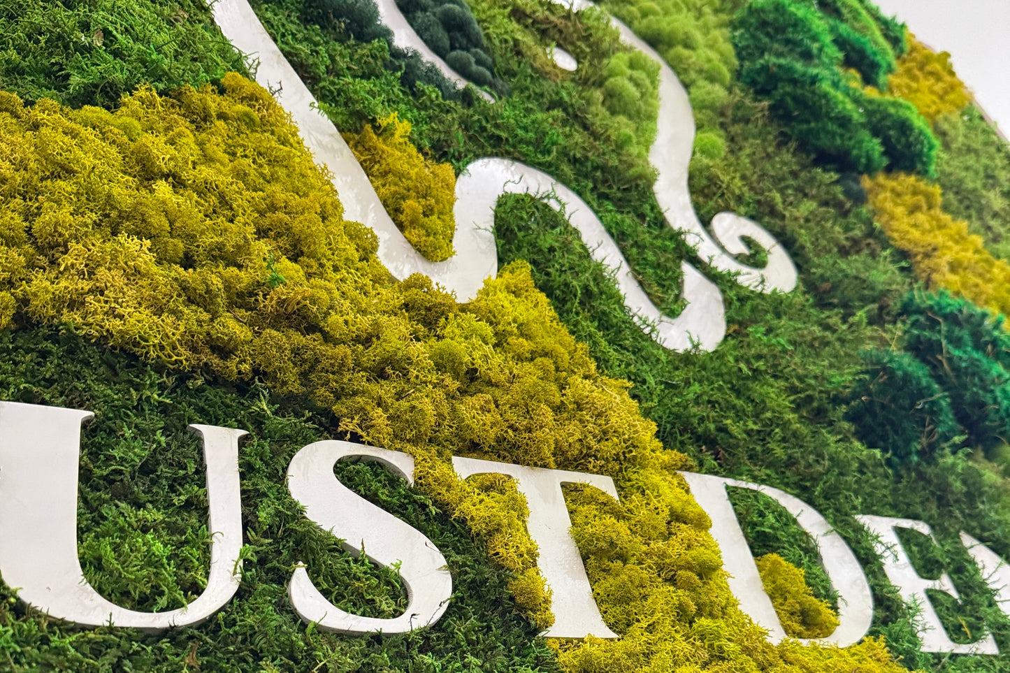 Custom Logo (Mixed Mosses) with CNC Lettering, Moss Art Frame