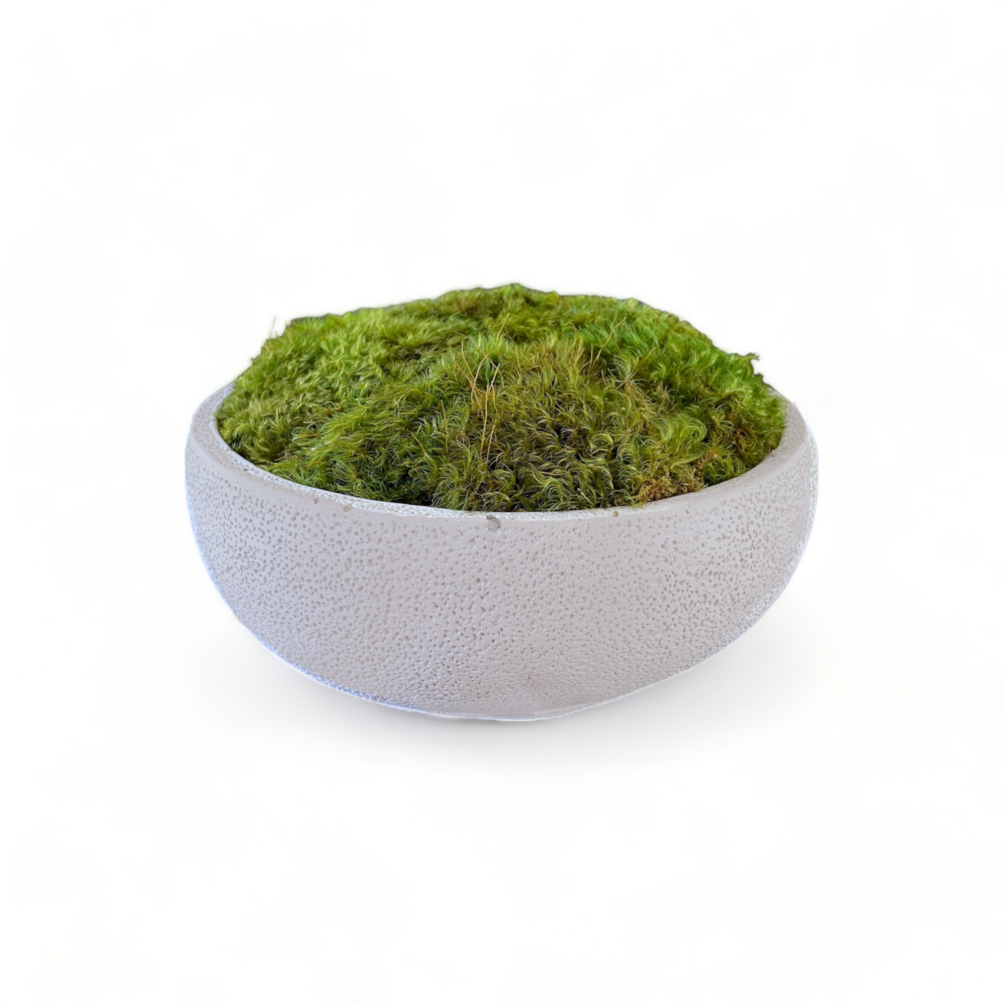 Textured Concrete Moss Bowl