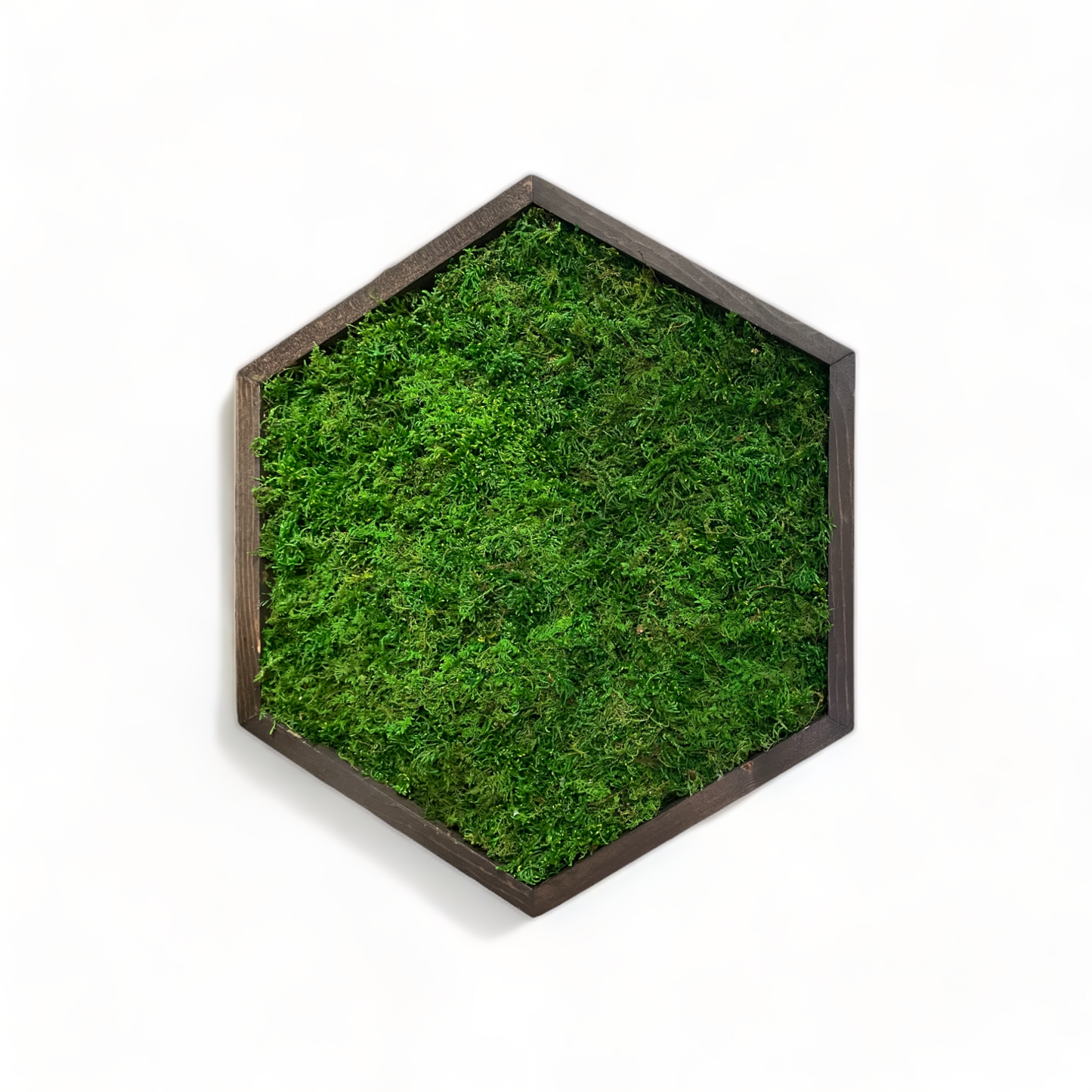 Hexagon Moss Art Frame - Minimalist Hex