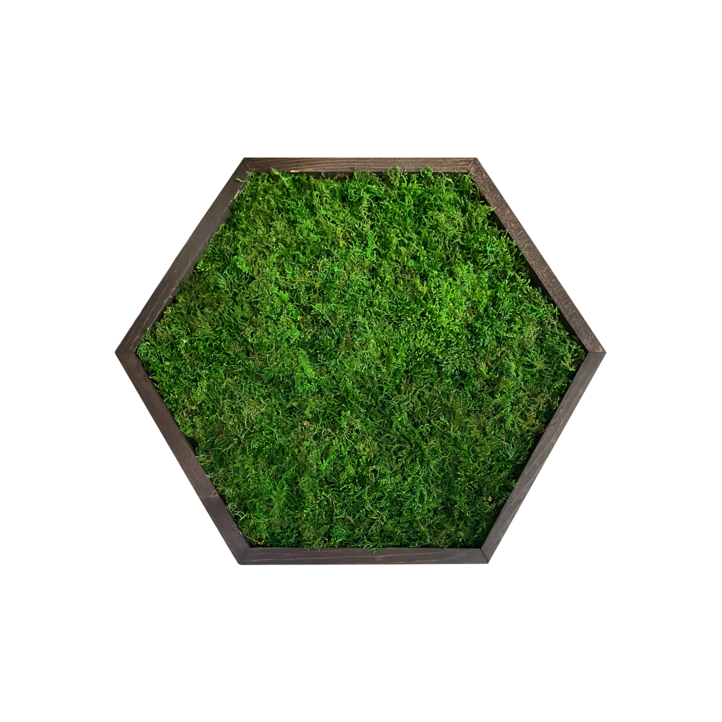 Hexagon Moss Art Frame - Minimalist Hex