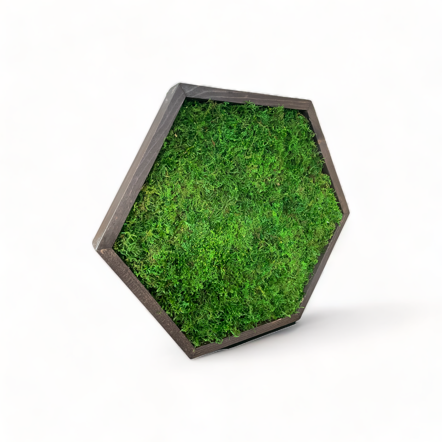 Hexagon Moss Art Frame - Minimalist Hex