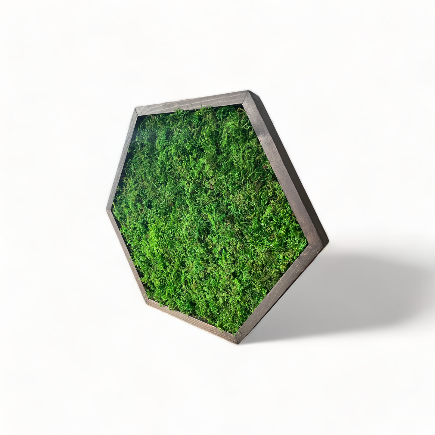 Hexagon Moss Art Frame - Minimalist Hex