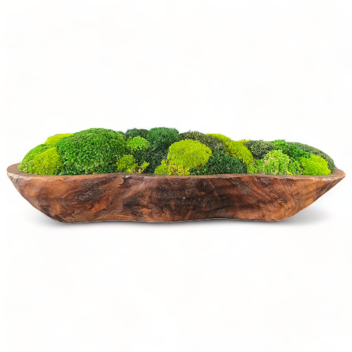 Infinity Moss Bowl