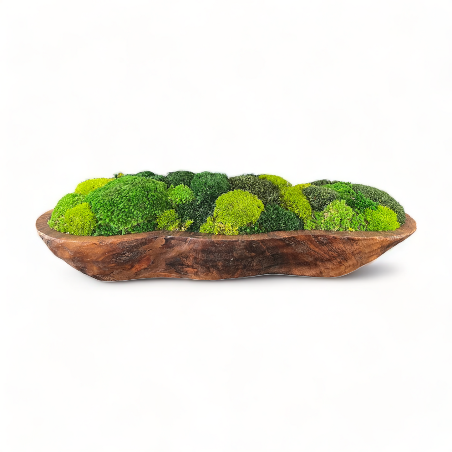 Infinity Moss Bowl