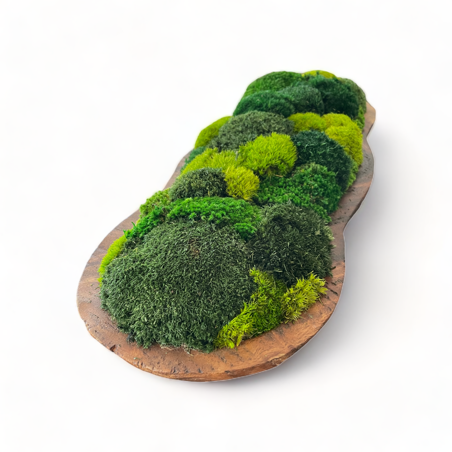 Infinity Moss Bowl