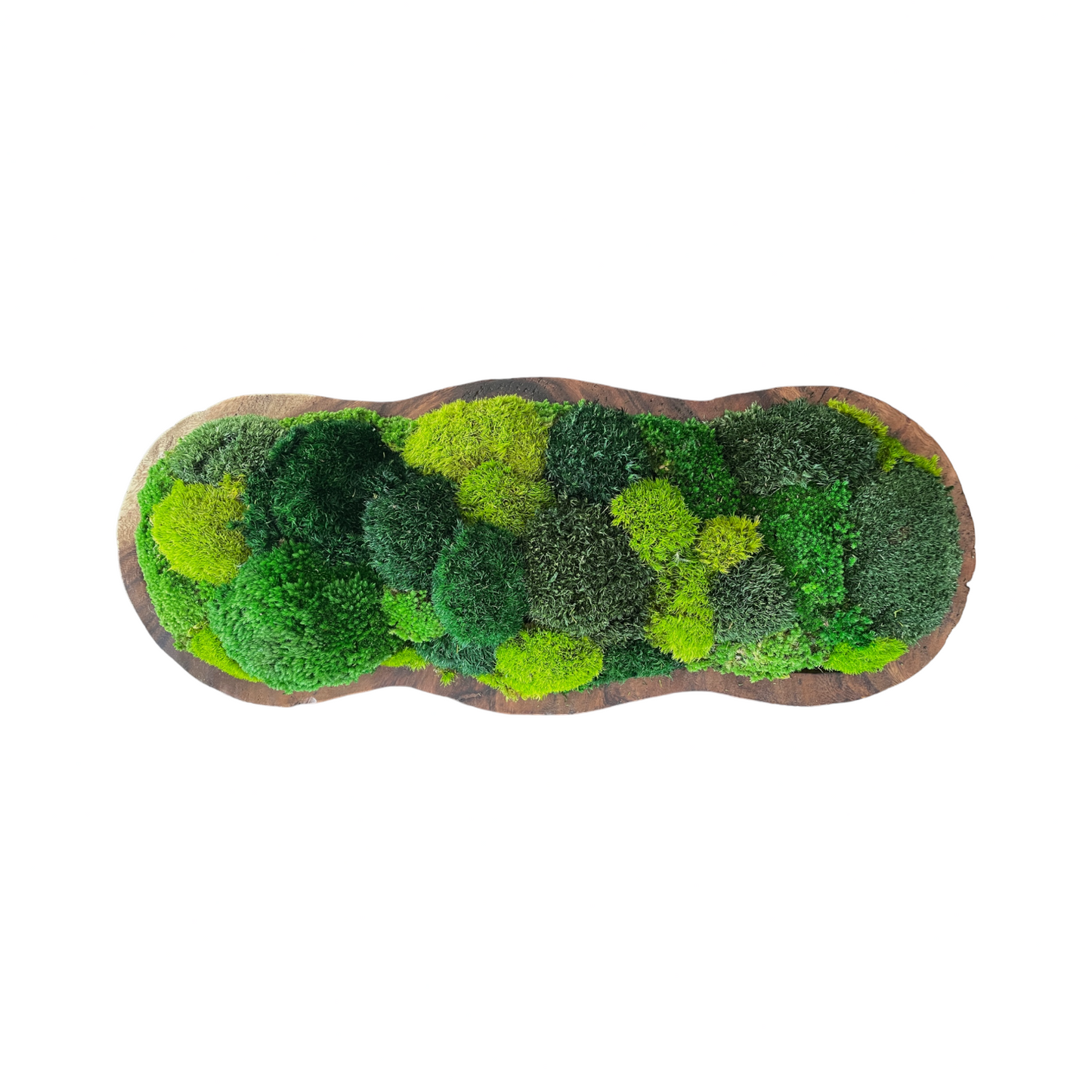 Infinity Moss Bowl