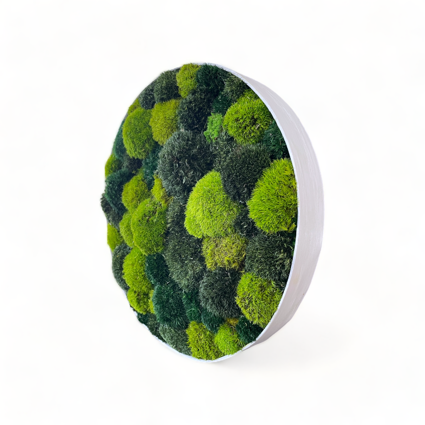 Bumble Oasis Circle Moss Frame