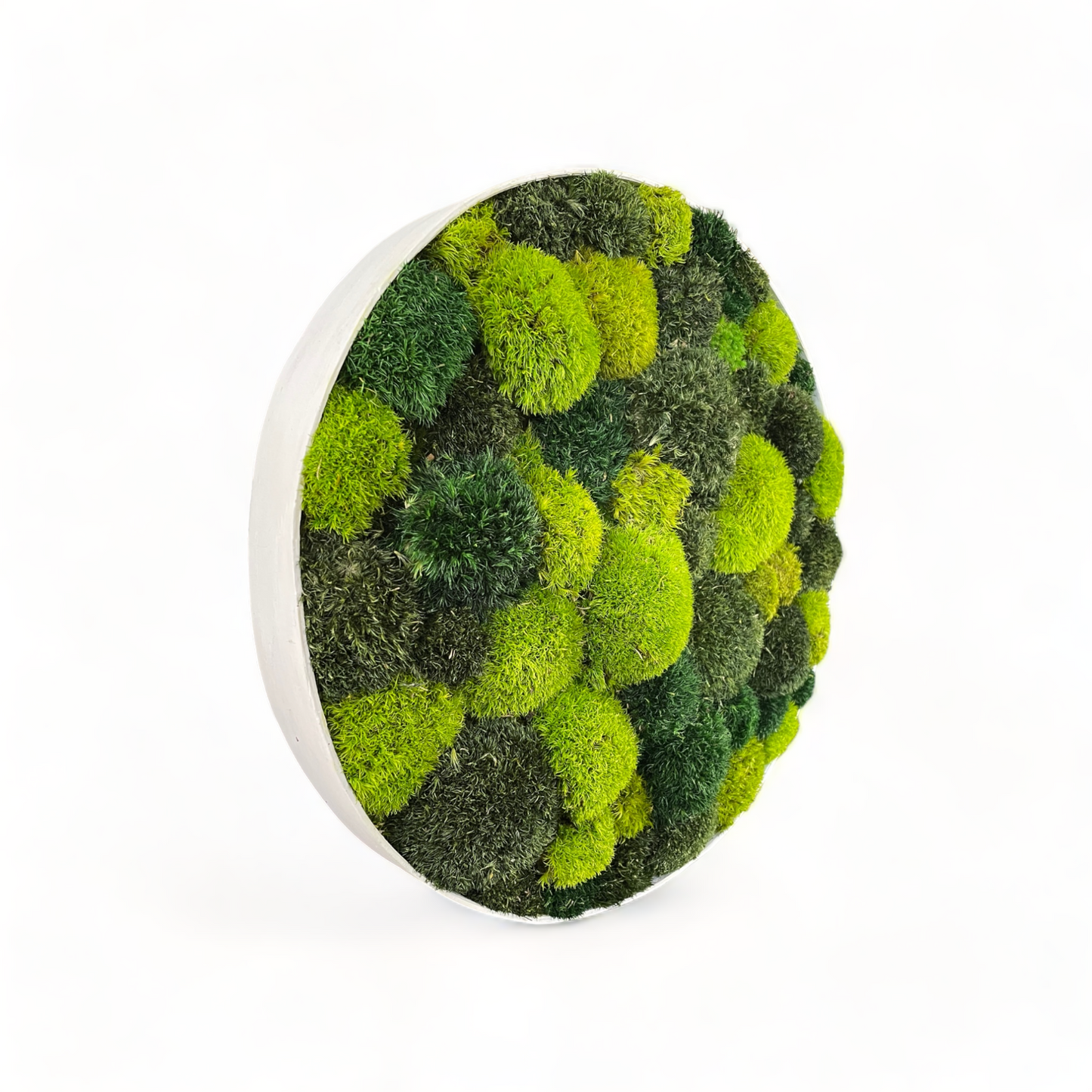 Bumble Oasis Circle Moss Frame