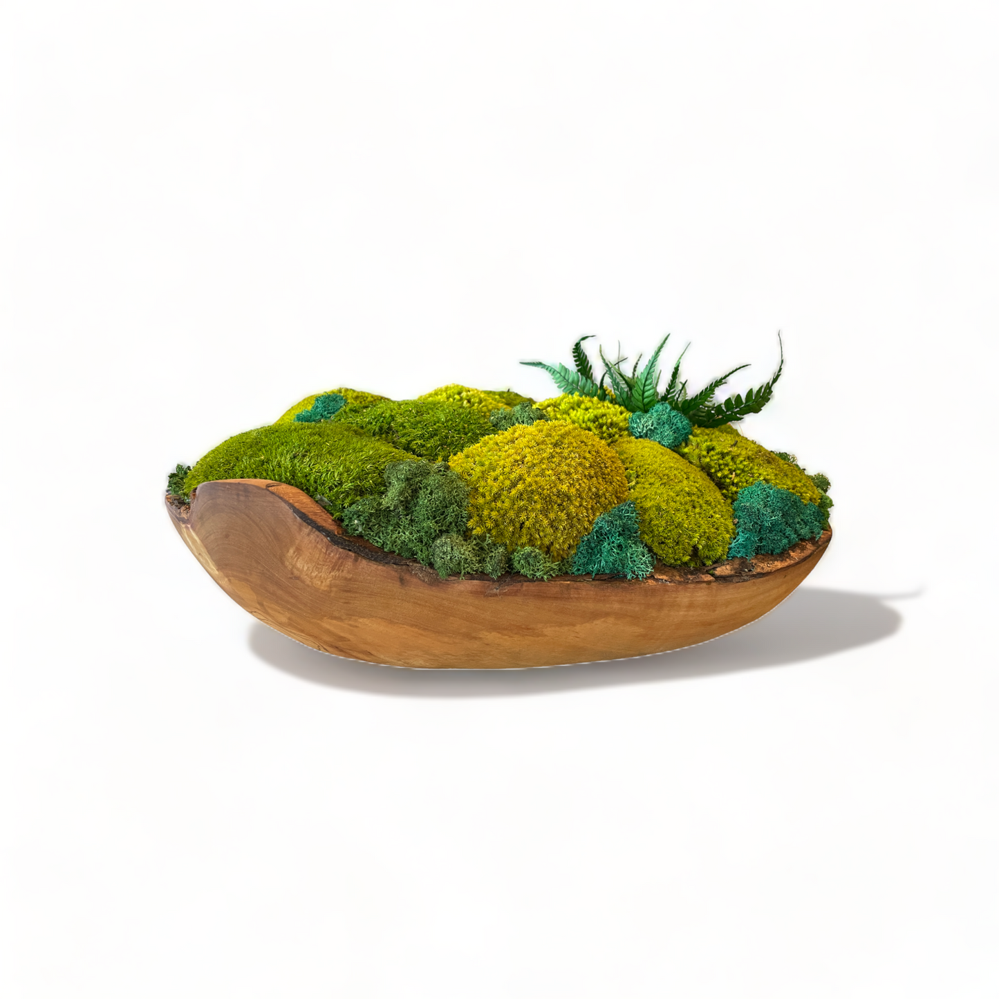 Paradise Cove - Oversize Olive Wood Moss Bowl