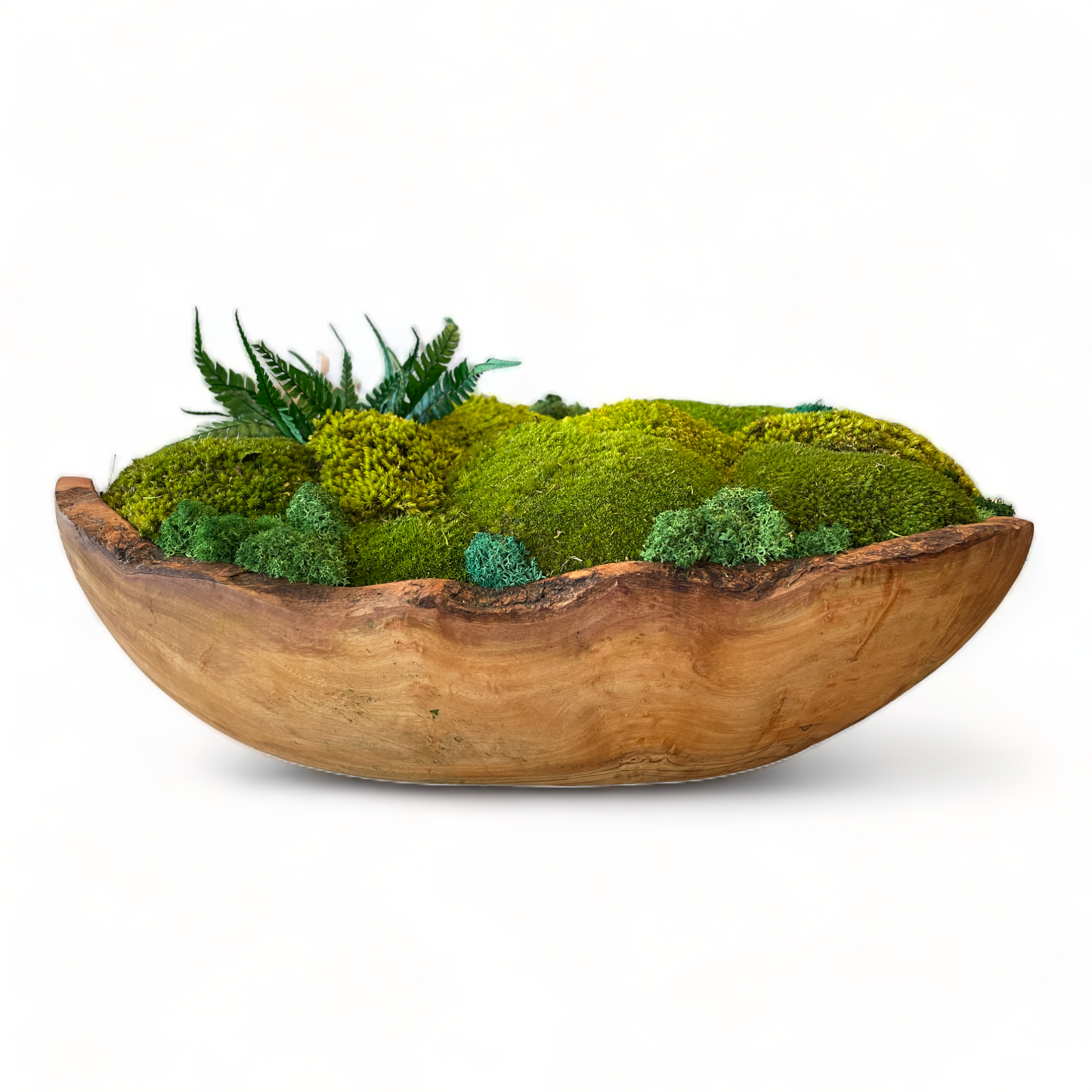 Paradise Cove - Oversize Olive Wood Moss Bowl