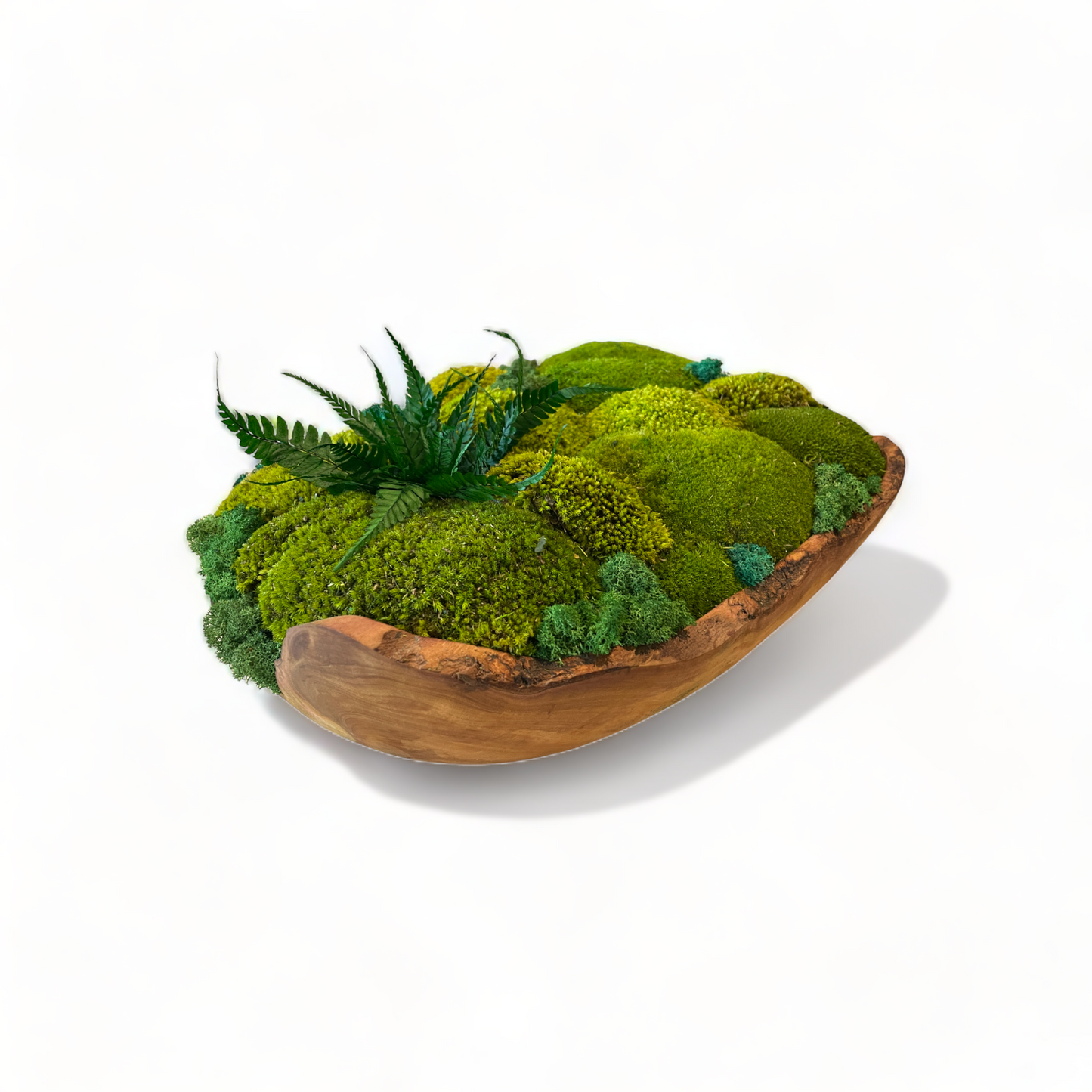 Paradise Cove - Oversize Olive Wood Moss Bowl