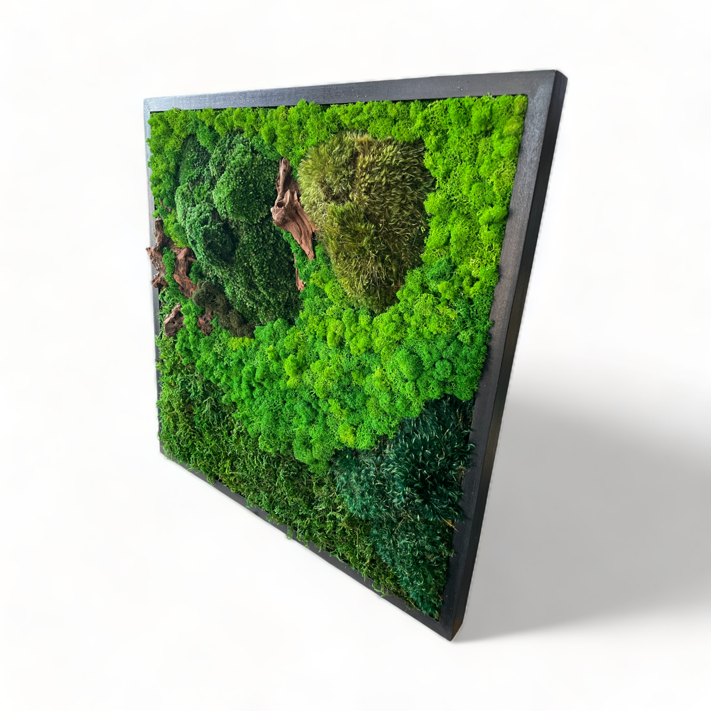 Moss Art Frame - Topography View