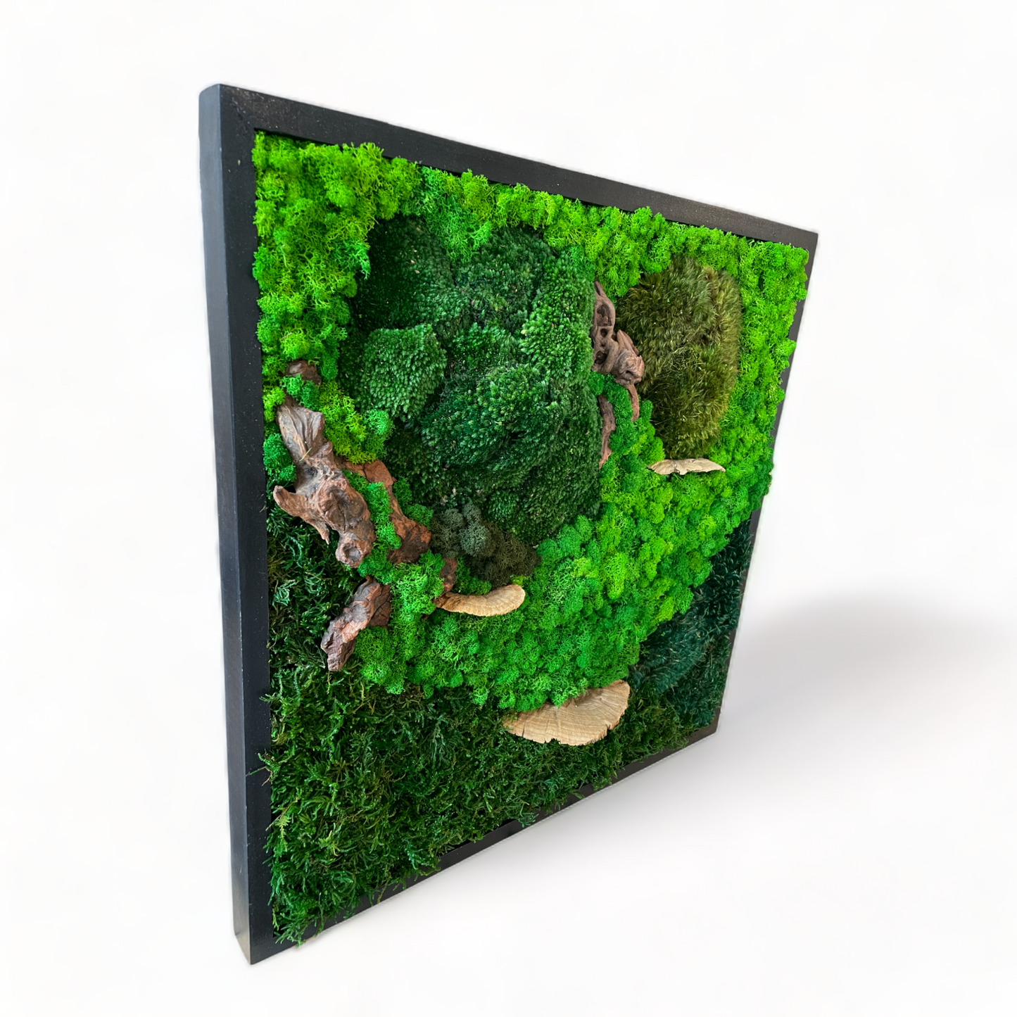 Moss Art Frame - Topography View