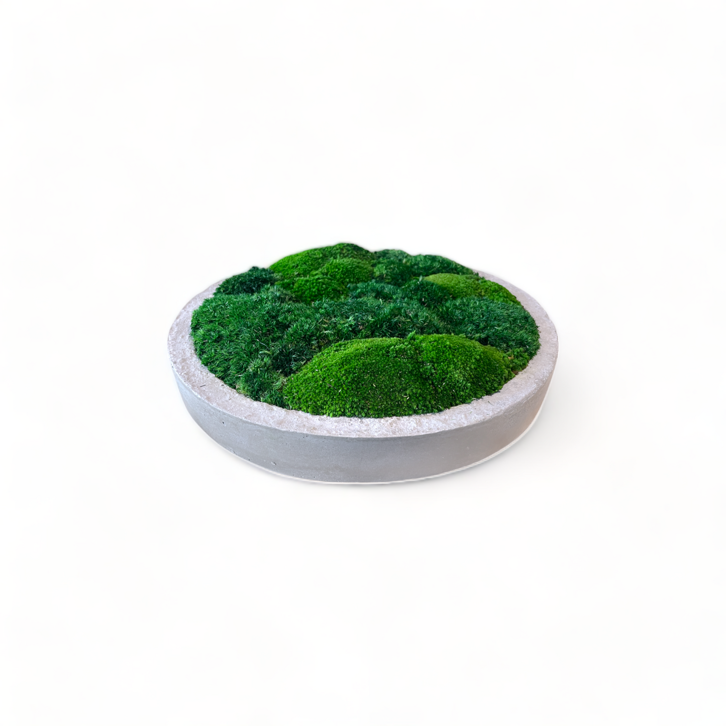 Low-Profile Concrete Moss Bowl