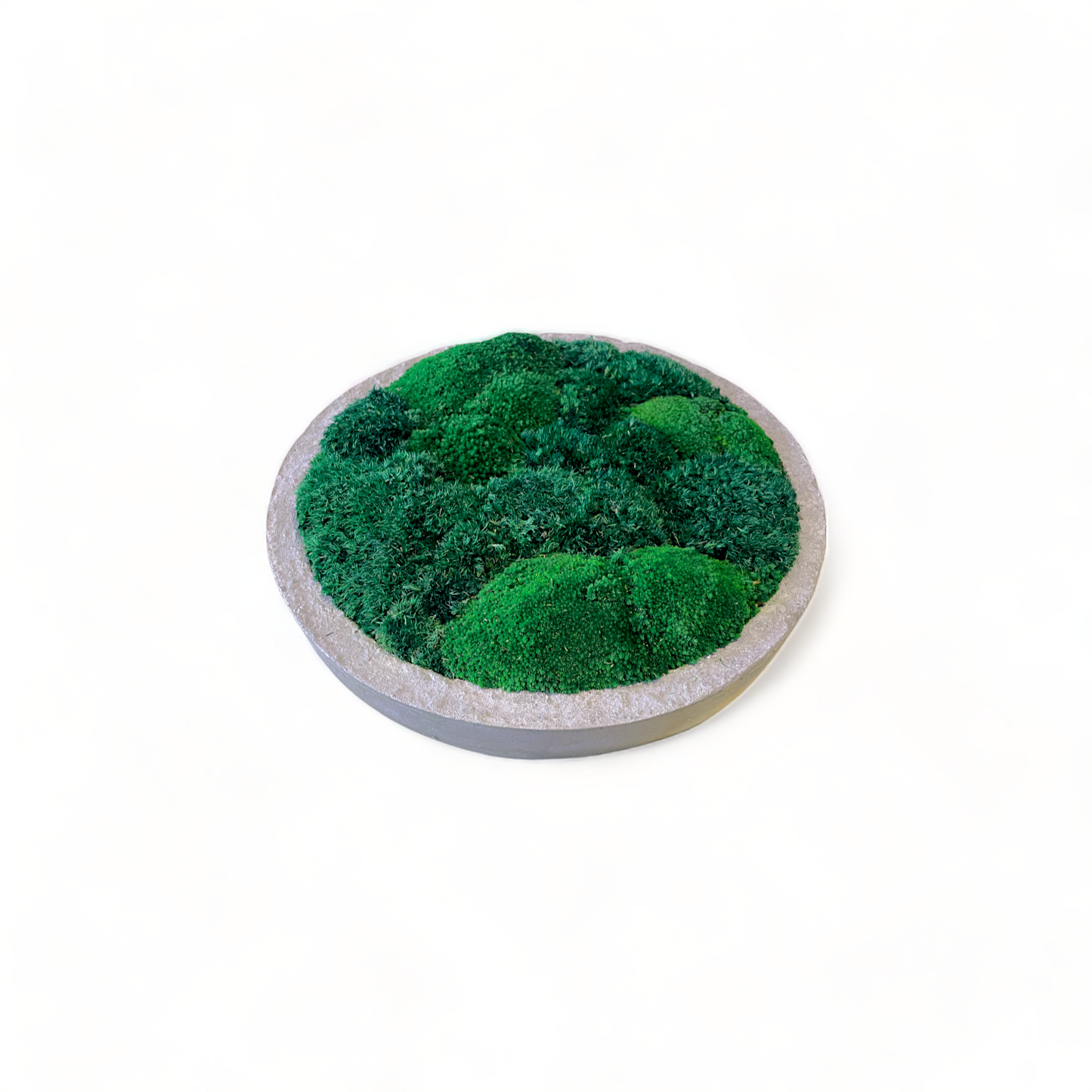 Low-Profile Concrete Moss Bowl