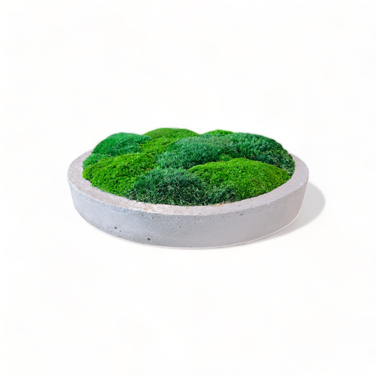 Low-Profile Concrete Moss Bowl