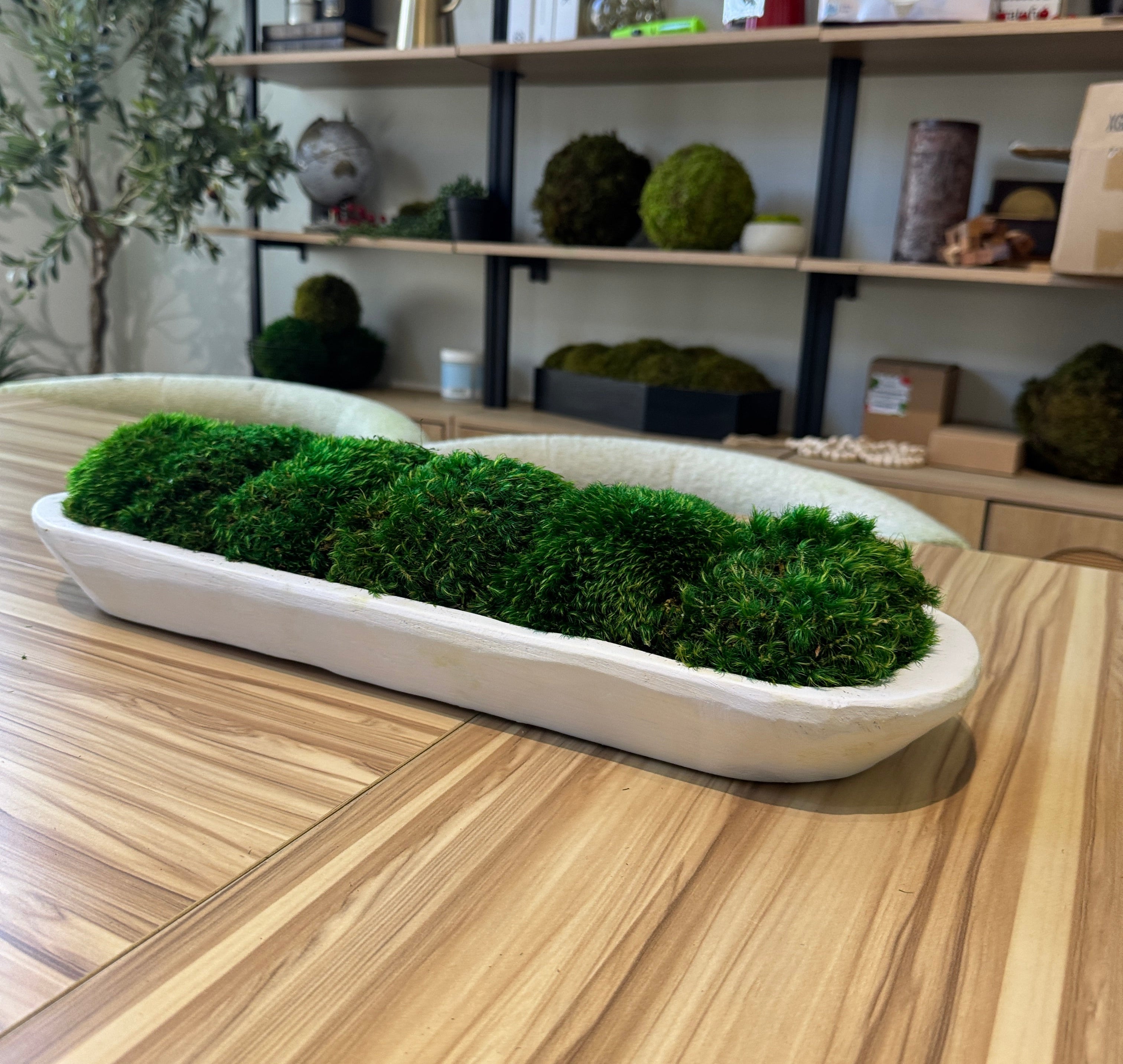 Green Grove Dough Moss Bowl – The Moss Shop