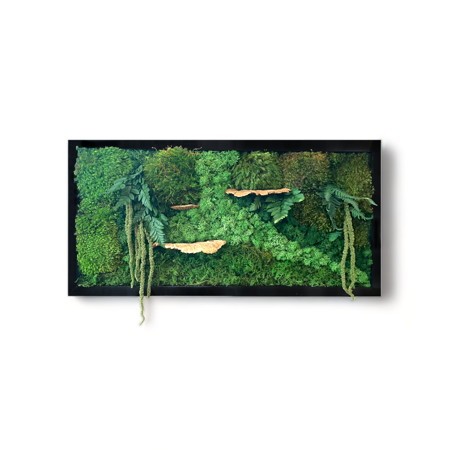 The Woodsy Jungle - Moss Wall Art Frame