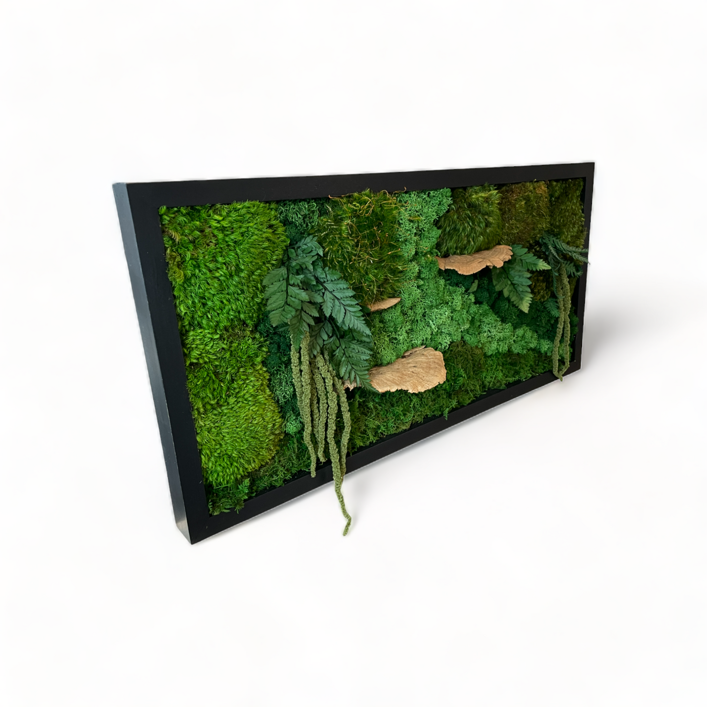 The Woodsy Jungle - Moss Wall Art Frame