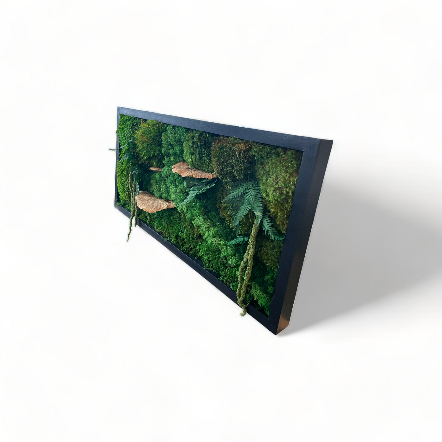 The Woodsy Jungle - Moss Wall Art Frame