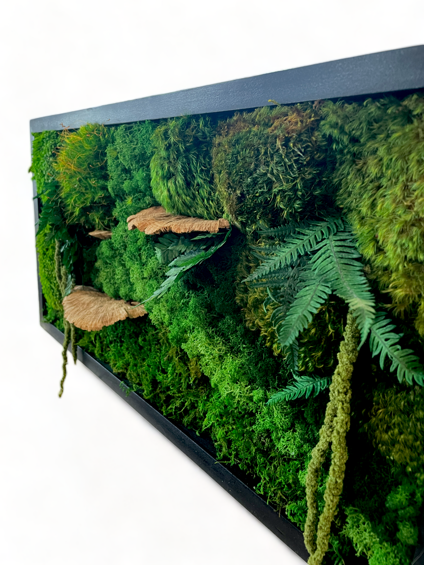 The Woodsy Jungle - Moss Wall Art Frame