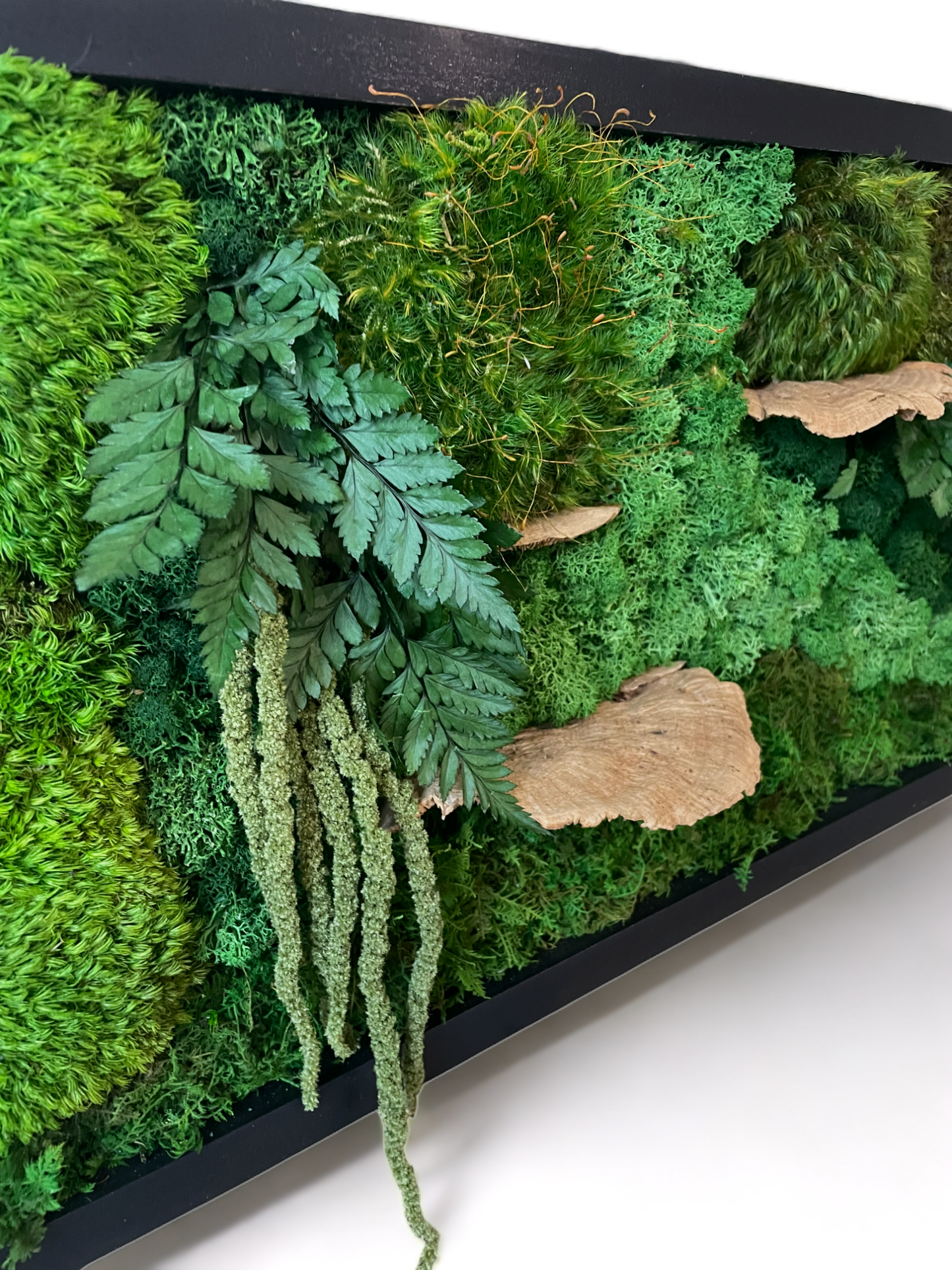 The Woodsy Jungle - Moss Wall Art Frame