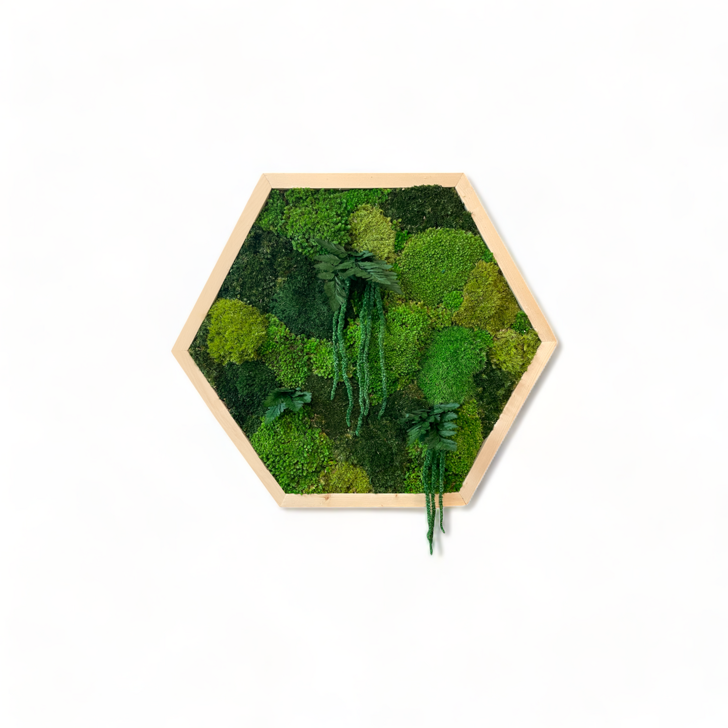 Hexagon Oasis Moss Art Frame