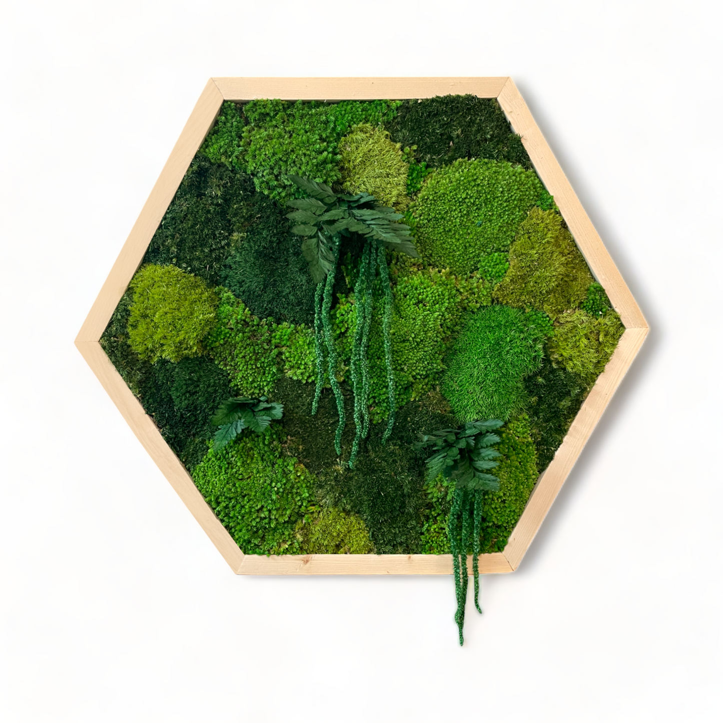 Hexagon Oasis Moss Art Frame