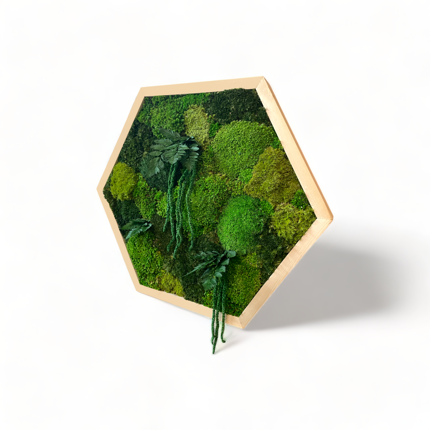 Hexagon Oasis Moss Art Frame