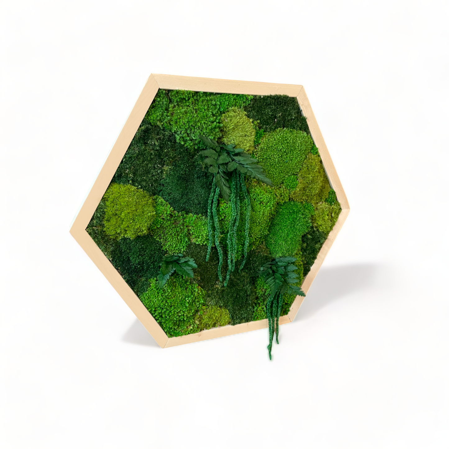 Hexagon Oasis Moss Art Frame