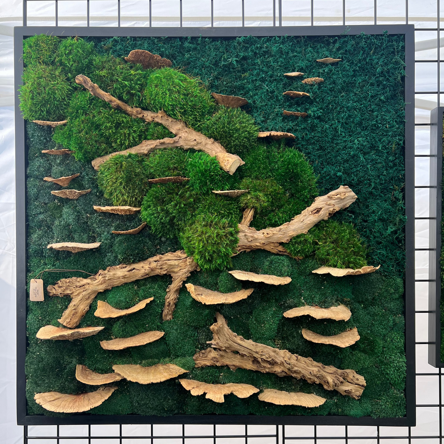 36x36" Drift & Bloom Moss Art Frame: Ready to Ship