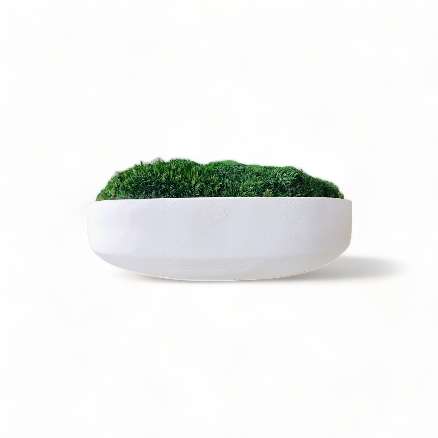 Clean Slate Concrete Moss Bowl