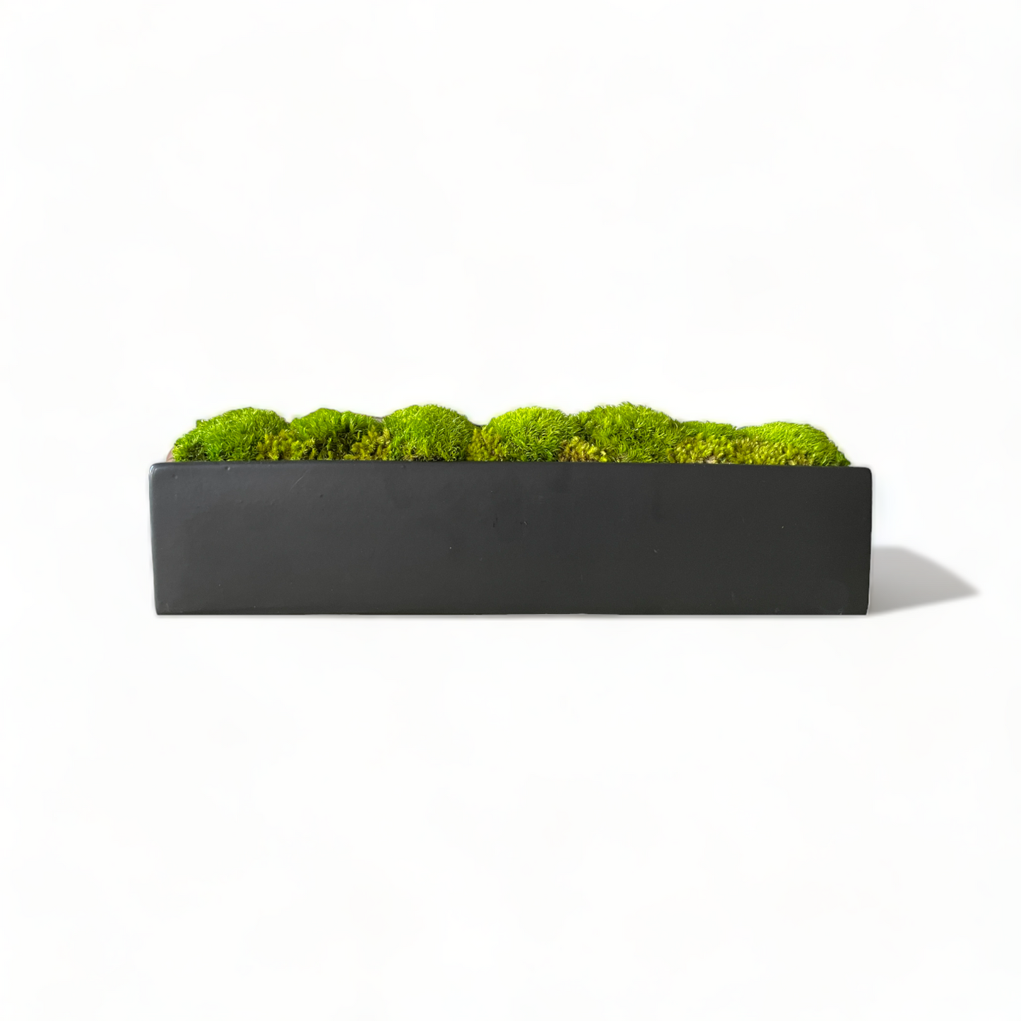 Sleek Topiary Planter Moss Bowl