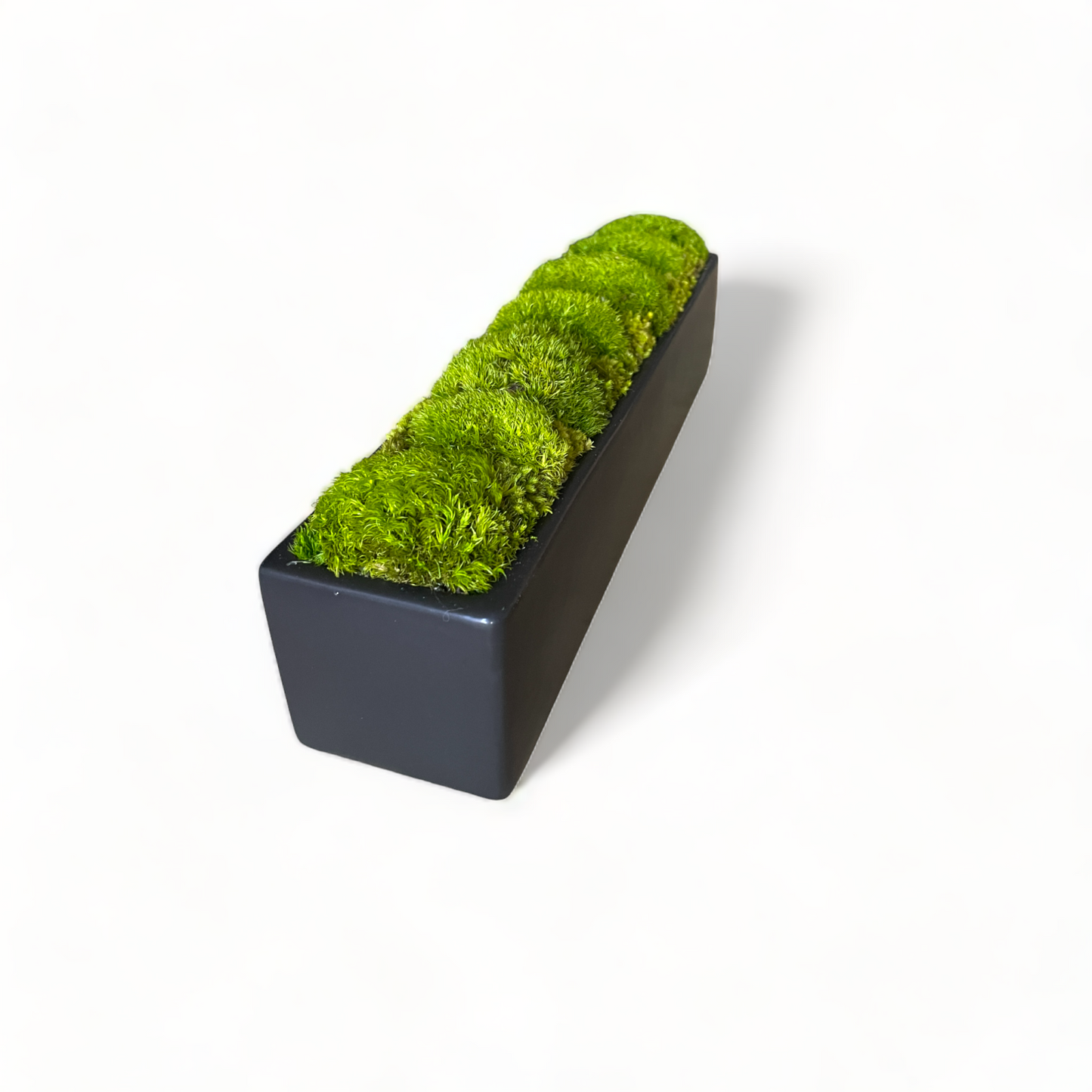 Sleek Topiary Planter Moss Bowl