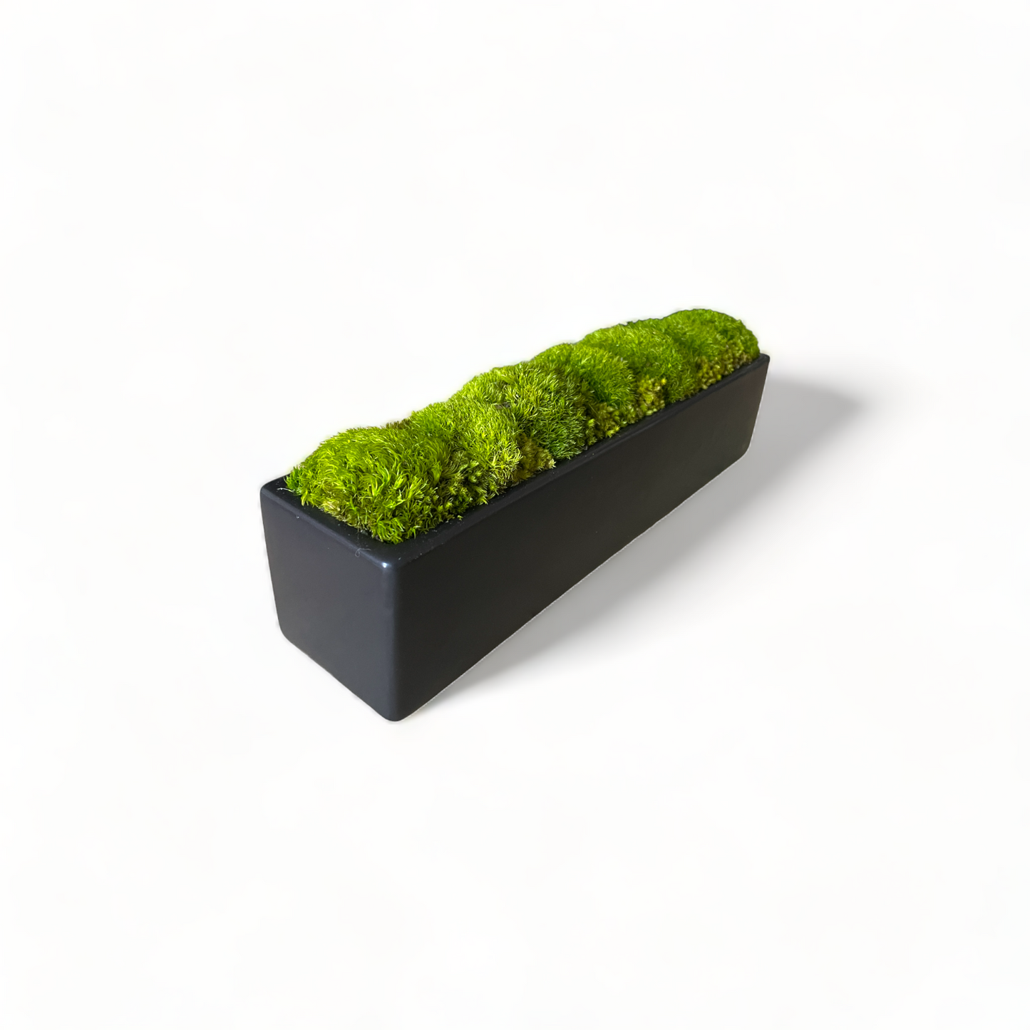 Sleek Topiary Planter Moss Bowl