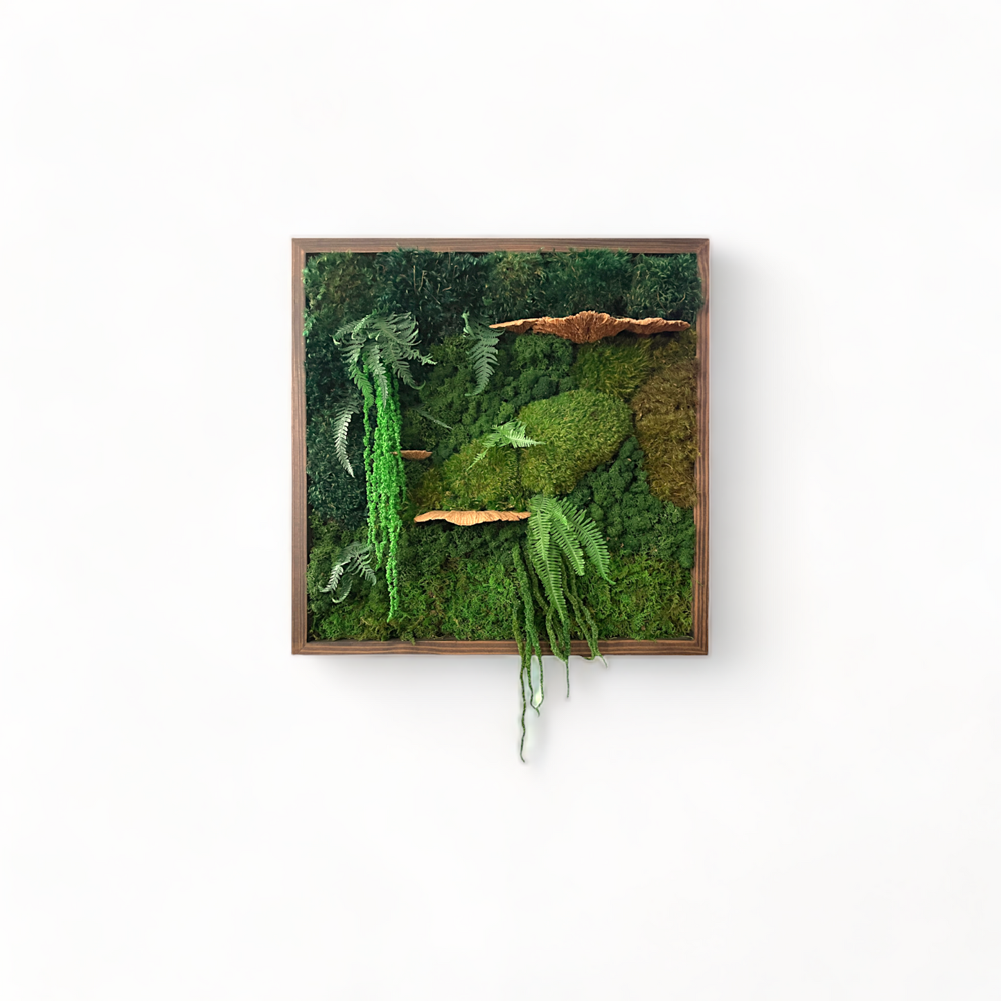 Laguna Niguel - Moss Wall Art Frame