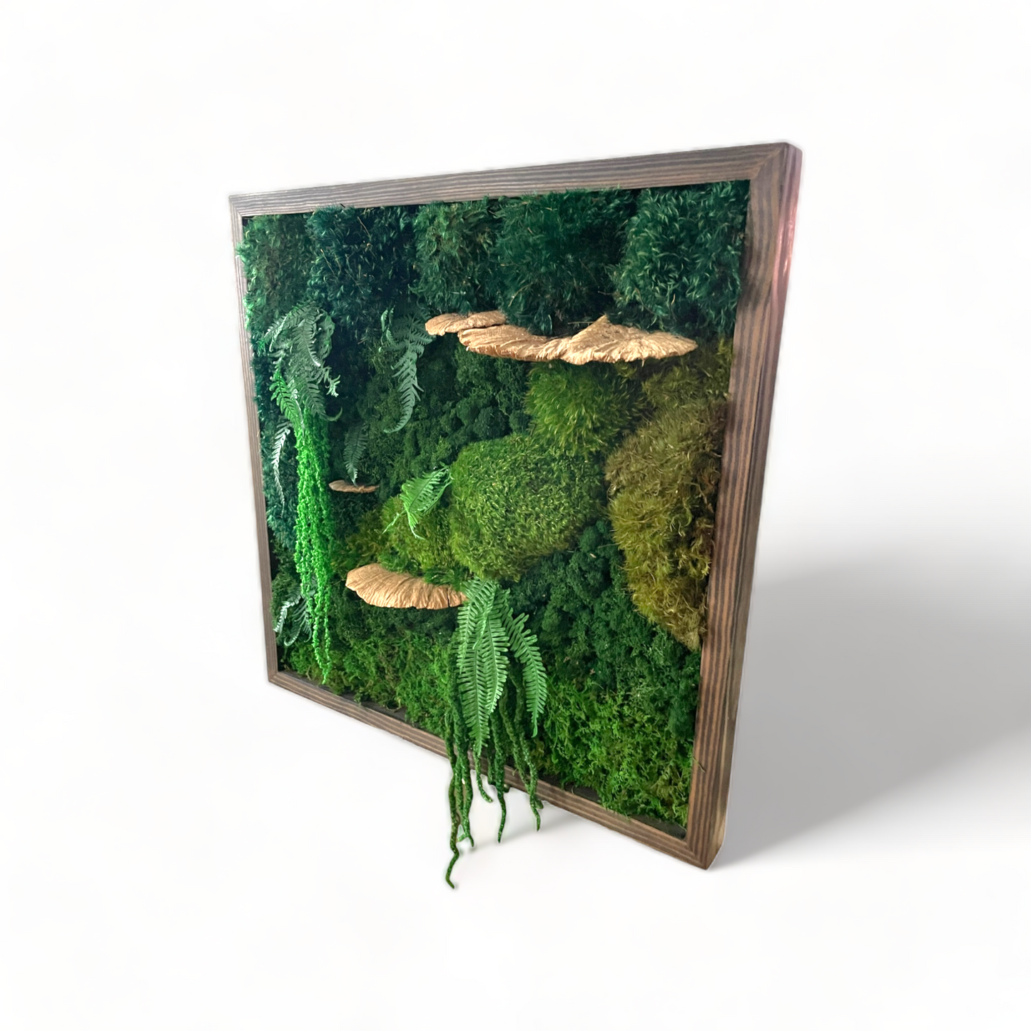 Laguna Niguel - Moss Wall Art Frame