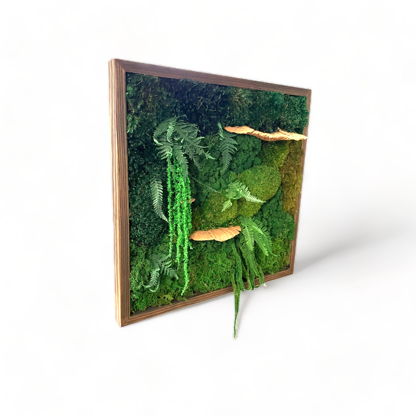 Laguna Niguel - Moss Wall Art Frame